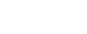 Birdee for Partners White